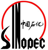 合作伙伴39